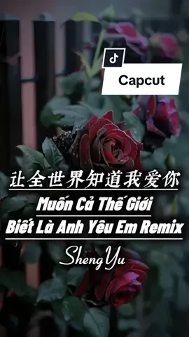 让全世界知道我爱你DJ - Muốn Cả Thế Giới Biết Là Anh Yêu Em Remix #nhachaymoingay #盛宇shengyu #CapCut #capcutmaster #xuhuong 