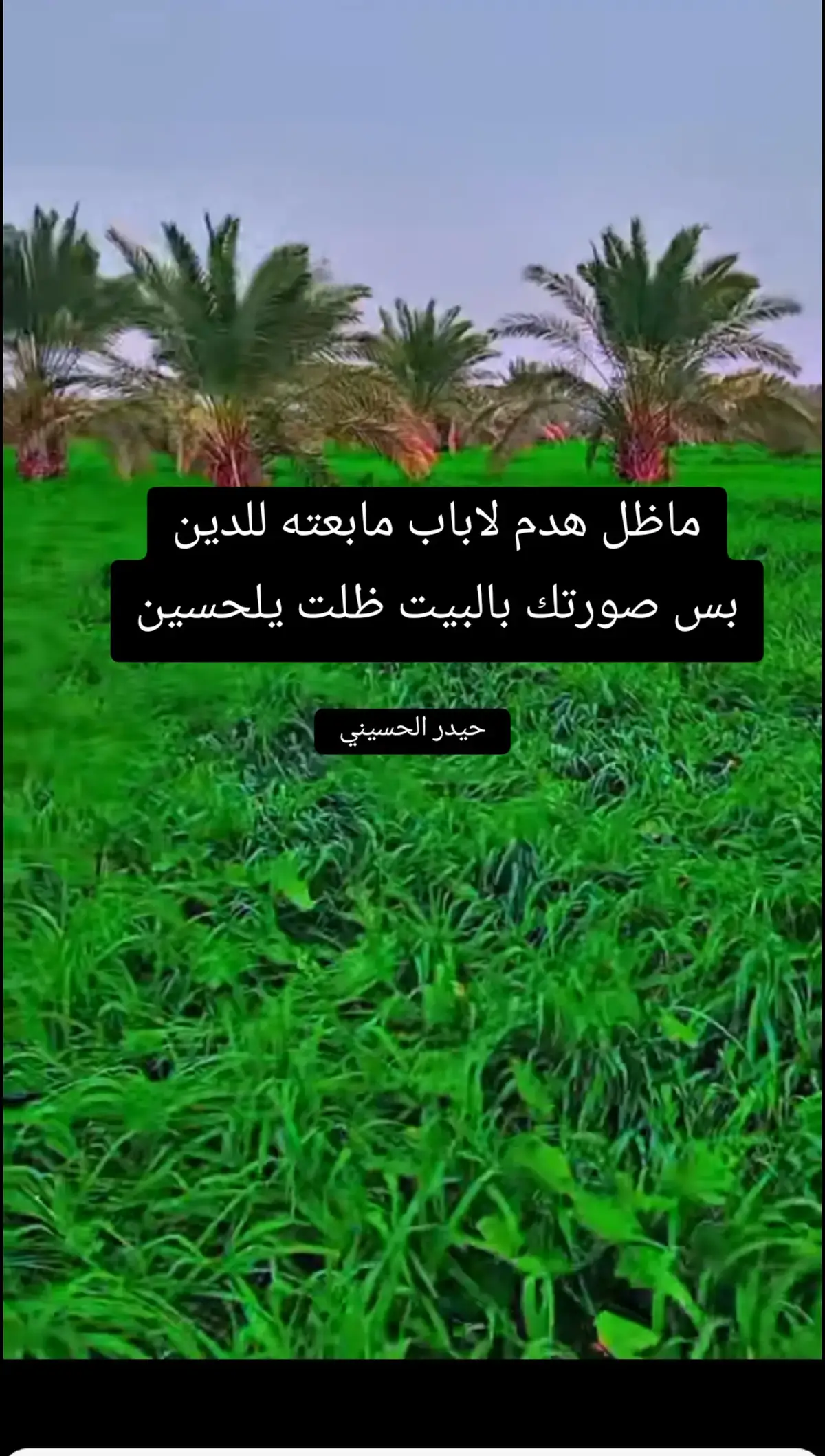 #شعر #دارمي 