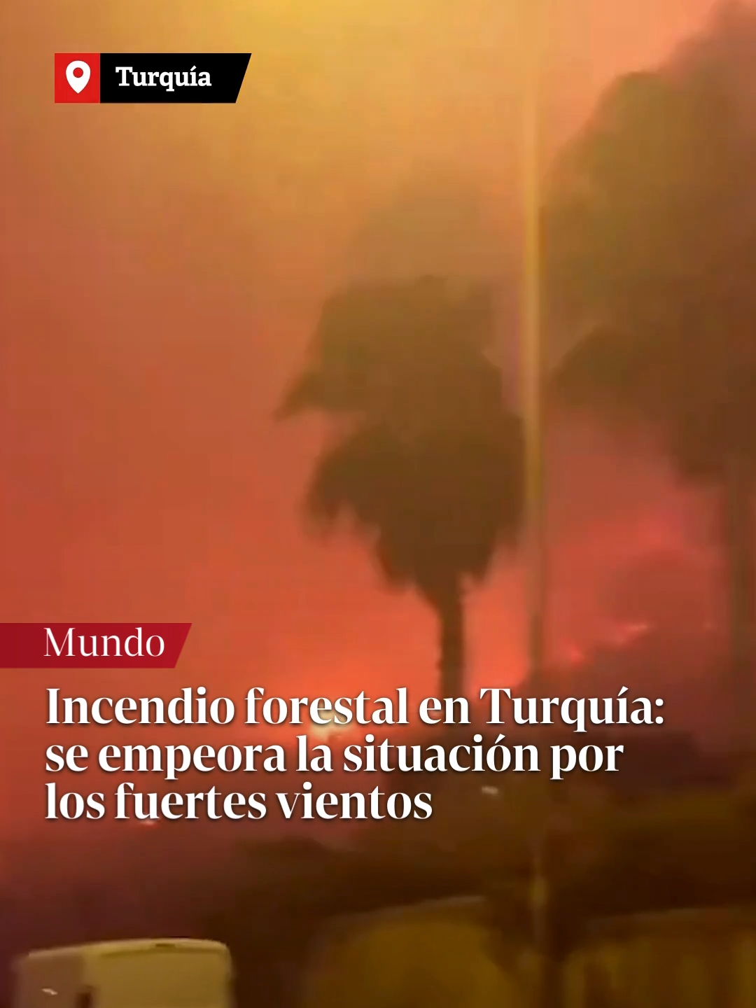 Incendio forestal en Turquía | Empeoran los incendios en el oeste y norte del país, avivados por fuertes vientos. 📲 Más información en clarin.com