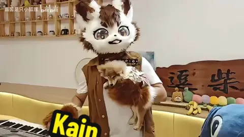 Kain (嘉茵是只小狐狸) - 龙勇,吴非华,龙智祥 ‘大香蕉’ I am not in this video! Uploaded with permission from Kain.  #kemono #fursuit #fursuiter #furryfandom #furry #福瑞 #兽装 #兽装舞蹈 #福瑞舞蹈 #furrymusic #furrymusician 