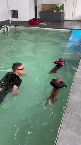 Did you know you can swim with your dogs? 🐶 Roland jumped in the pool for the first time with our dogs at K9 Swim Manchester today and we had so much fun 🥹 Turns out co ordinating 5 sausages with 5 balls one after another isn’t as easy as the hydrotherapists make it look! We’ve booked in another one and I will 100% be getting in and racing those little legs 🌭 You can get 20% off your induction swim at K9 Swim Manchester with code DOS20