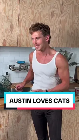 so true 🐱 hbd #austinbutler 