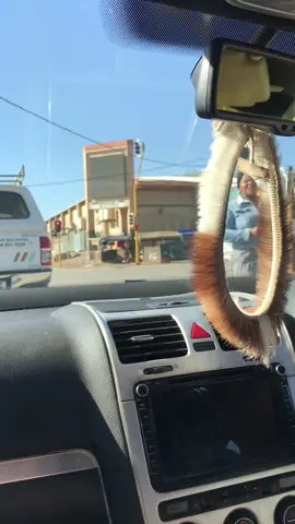 🎾🎾🎾.