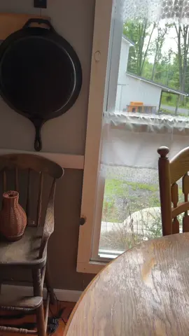 Getting the light saber after these flies 🪰 #creatorsearchinsights #bugzapper #flyswatter #tiktokshop #fyppppppppppppppppppppppp #fypシ゚viral #homesteading #slowliving #bugs #mosquito 