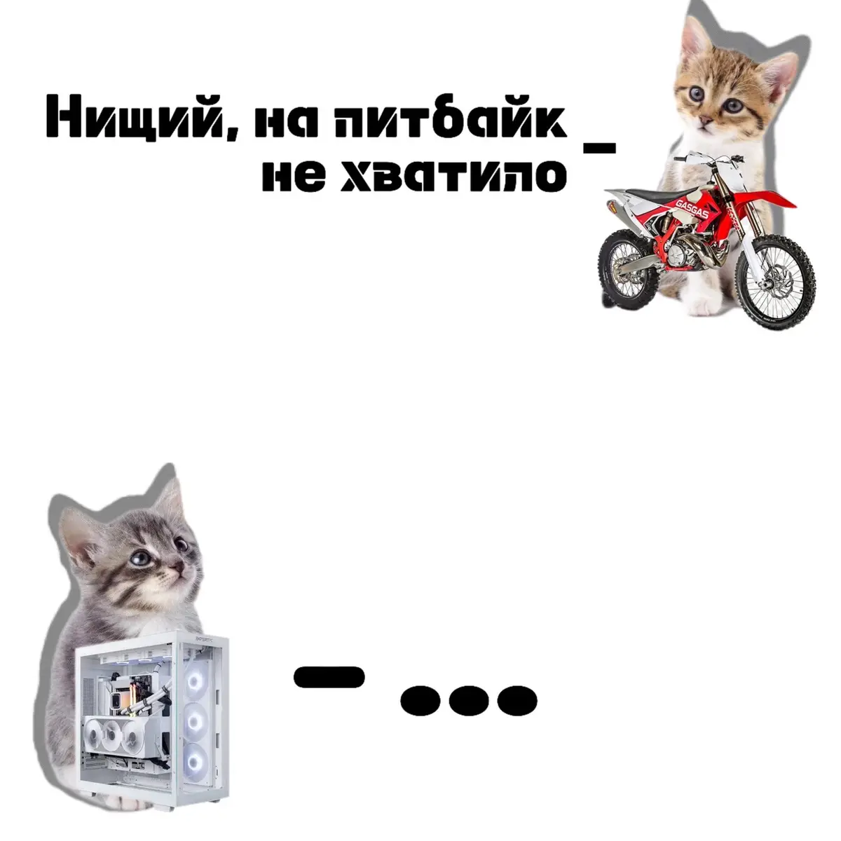 #котики #пк #питбайк #мило #милые 