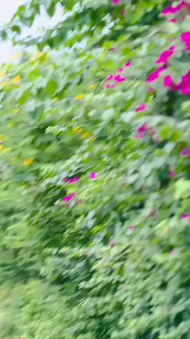 #princess #offfical? #tiktok #fffffffffffyyyyyyyyyyypppppppppppp 😆😇🙊#trendingvideo . . . . লুঙ্গি পরার মজা আলাদা মেয়েরা কি বুঝবে 😆😆