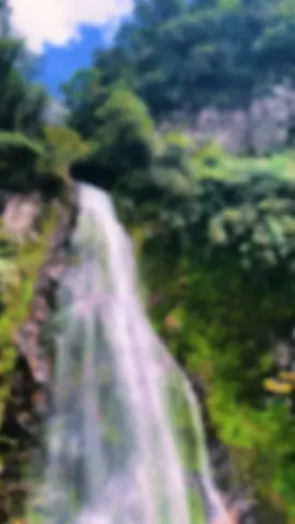 Gửi ae chút không khí của Sa Pa tại Vườn Quốc Gia Hoàng Liên- Lào Cai. 😍#vuonquocgiahoanglien #sapa #làocai 