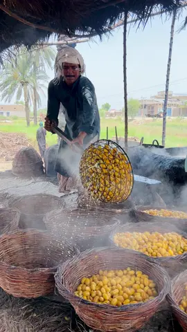 Boiling of Dates in the Hot Season #BoilingDates #HotSeason #DateProcessing #DatePreparation #SummerCooking #DateHarvesting #DateCooking #HotWeatherCooking #DatePreservation #DatesInSummer #DateConservation #SeasonalCooking #DateRecipes #SummerDates #CookingDates #HotSeasonRecipes #DateBoiling #DatePreparationInSummer #DateProduction #HotWeatherProcessing