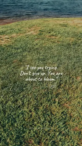 #dontgiveup #sundays #bloom #trusttheprocess 