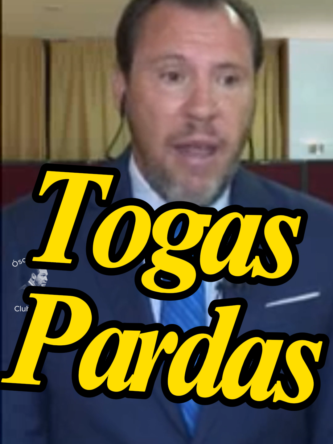 Oscar Puente VS Togas pardas. #oscarpuente #oscarpuentezascas #partidopopular #togaspardas #españa