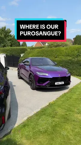 Should we hold on to the Urus Performante or just get a used Purosangue? I really wanted to option ours but I feel like waiting even longer would just be silly now 🤣