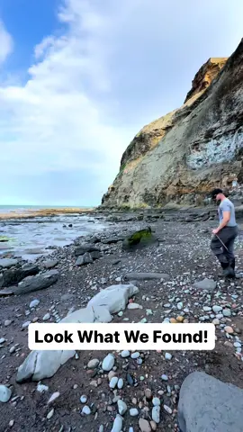 Here is a very suspicious rock that we found encased in shale on a recent beach walk! In the same video we opened the nodule up with our geology hammer and chisel! 🏝🌊 The surrounding shale is softer than the nodule and is easily broken away. Inside the nodule, a beautiful Dactylioceras tenuicostatum ammonite from the Jurassic 😍🦑 These ammonites are around 180 Million Years Old 💀🏝 Thank you for supporting our page! 🐊 #natural #nature #fossil #fossils #ancient #animals #art #ammonite #ammonites #dinosaur #scientist  #minerals #paleontology #whitby #geologist #dorset #geology #charmouth #jurassic #yorkshire #beach #coast #sea #water #squid #fyp