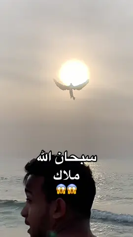 شاهد ظهور ملاك صعد من البحر 😱😱#كابتن_ميوز 