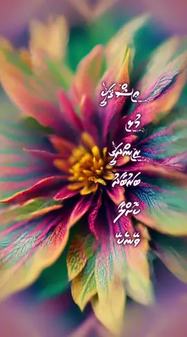 Ishqakee mulhi zindagi barubaadhu kollaa veynekey #lavabaazy #dhivehilava #dhivehisongs #lyrics_songs #lyricsedit #ishq 