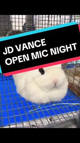JD Vance standup routine take 1 #vance #comedy #standup #Eyeliner 