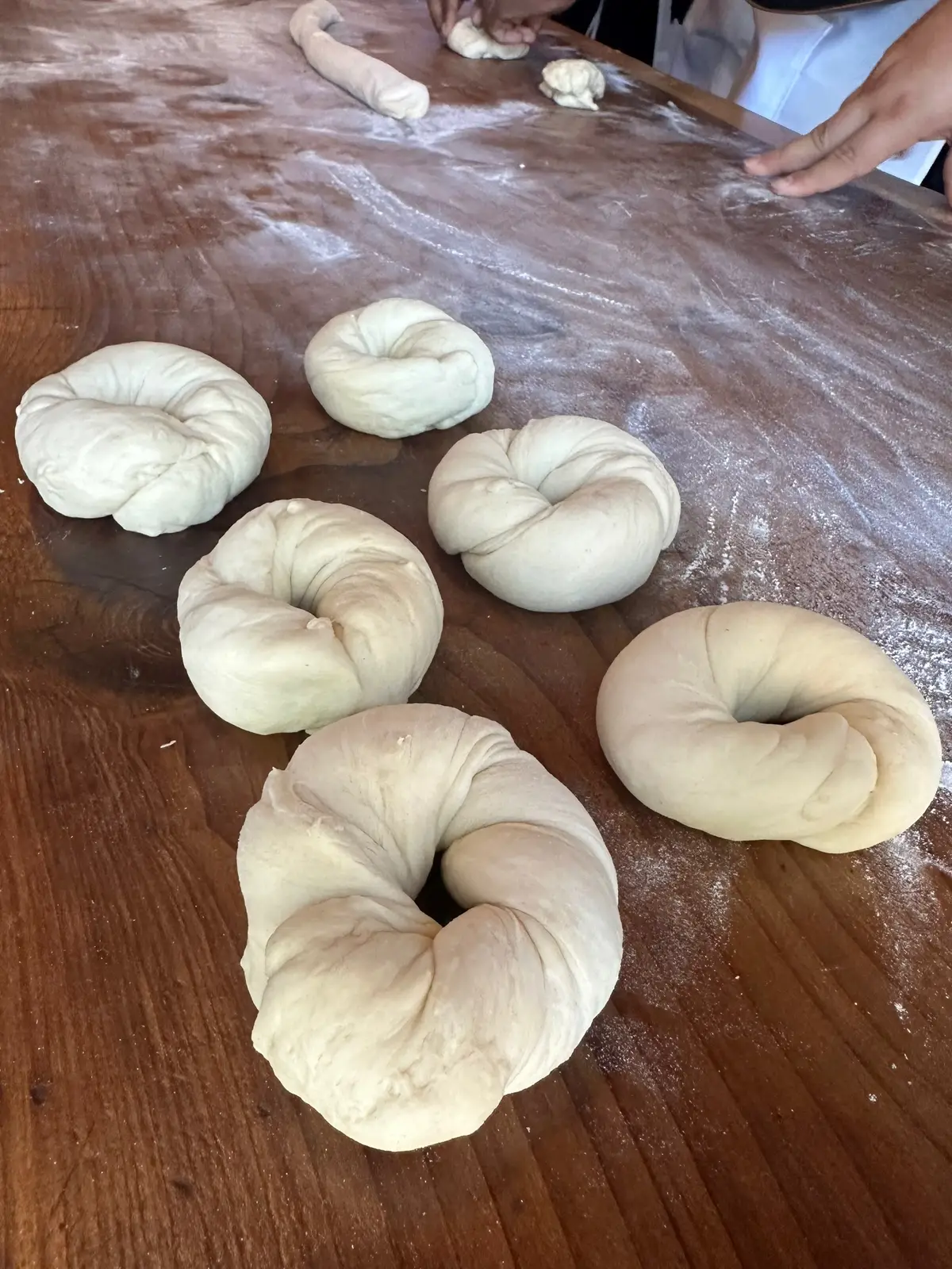 What a fun experience 🥰 #bagel #bagels #bageltok 
