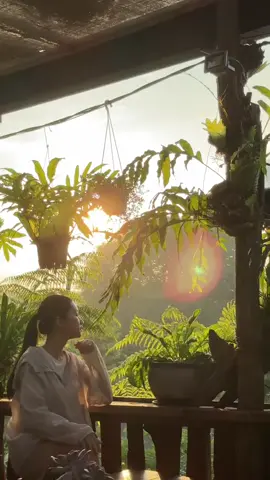 Đôi mắt đã không còn là thiếu niên, mấy lần mười năm ☀️