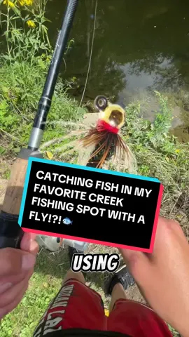 Hope to make some better vids here soon!🐟#fyp #tiktok #xyzbca #fishtok #Summer #reel #water #baitcastingreel #baicaster #openreel #funny @BassBanshee @Jerm 🎣 @BIGBASSCLARK 