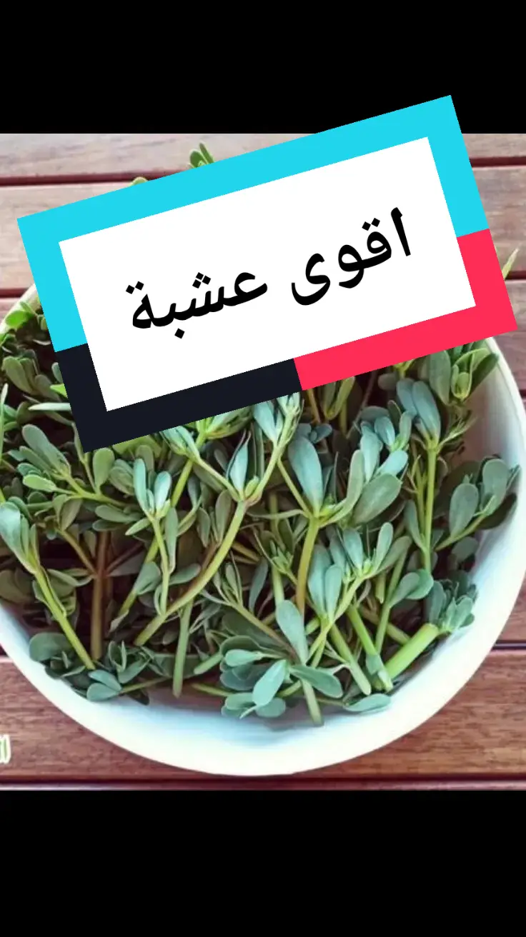 #دكتور #طبيب #فوائد_الاعشاب #فوائد_صحية #علاج #السكري #فوائد #صحة #doctor #herbs #fypage #foryou 