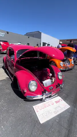 vk beetle classic car collection 😍 #volkswagenbeetle #classiccars #classicbeetlecars #vkbeetleclassic 