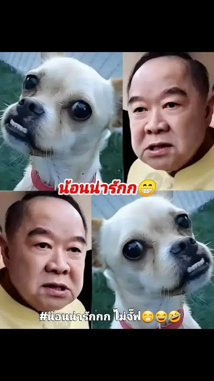 น่ารักป่าว#คนไทยรู้ทัน 