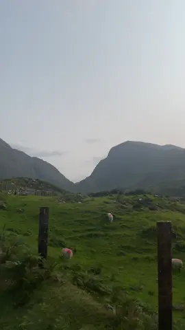 The Gap of Dunloe #ireland #gapofdunloe 