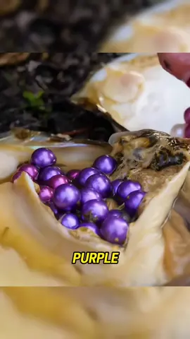 Woman discovers colorful pearls from river clams #tiktok #foryou #fishing #fish #funny 