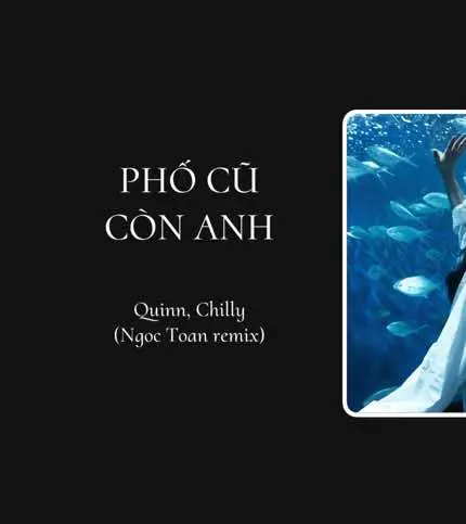 Người có còn đi qua từng góc phố … #nhacremix #chill #houselak #lucasremix 