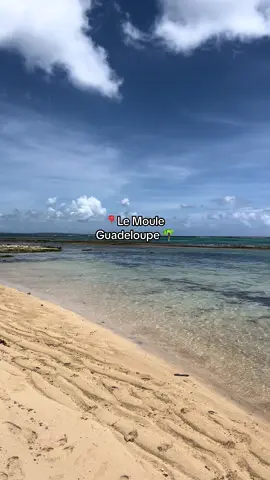 Une journée avec moi au Moule en Guadeloupe 😍🌴 ✈️#guadeloupe #travel #antilles #pourtoi #gwada 