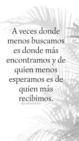 Frase: 