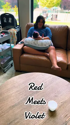 Red meets the Baby Violet for the first time. I think they are gonna be best friends @‘Ainuu Pome’e  @McCall | Sports Mama Village  #bernesemountaindog #baby #pomeetribe #tinytribe 