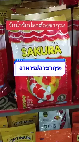 ซากุระอาหารปลาสวยงาม🐠🪸 #เทรนมาแรงวันนี้ #รักน้ํารักปลารักซากุระ #อาหารปลาซากุระ #ปลาสวยงาม #อาหารปลากัด #อาหารปลาทอง #อาหารปลาคาร์ฟ #นานาอาหารปลาและอุปกรณ์ 