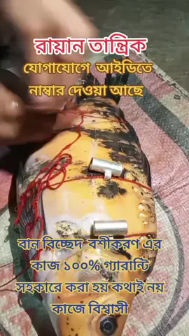 কথায় নয় কাজে বিশ্বাসী ১০০% গ্যারান্টি সহকারে কাজ করা হয় #unfrezzmyaccount #viralvideo #viraltiktok @TikTok @TikTok Bangladesh 