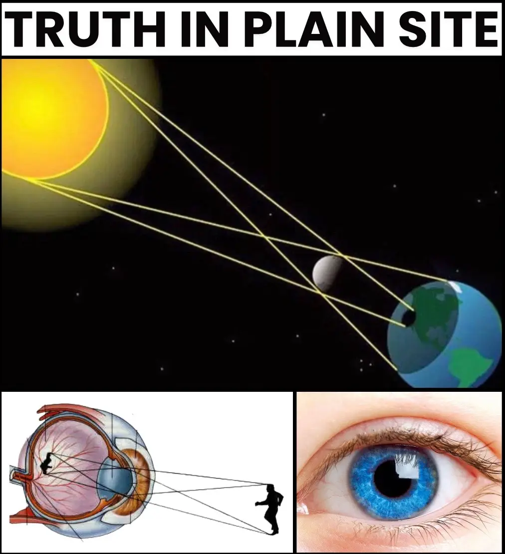 The Newtonian view that we are humans existing inside an external universe is misleading. The truth is that each of us is a miniature universe. Our bodies are radio receivers for consciousness, the very source of the universe itself. Your body mirrors the Earth, and your brain functions as a powerful computer.  The visual field is a symbol that has been used for thousands of years to illustrate how the eyes and brain transform light waves into images within the visual cortex of the brain. What we perceive as the external world is actually an internal creation of the brain. There is no truly external world; what your consciousness experiences is a simulation crafted by the body. The body, with all its intricate functions, is organic technology designed to simulate a physical reality. Your consciousness directly interacts with your brain, generating your own unique reality. Your thoughts and emotions are not just responses but are actively weaving and shaping the fabric of your reality. #spiritualawakening 