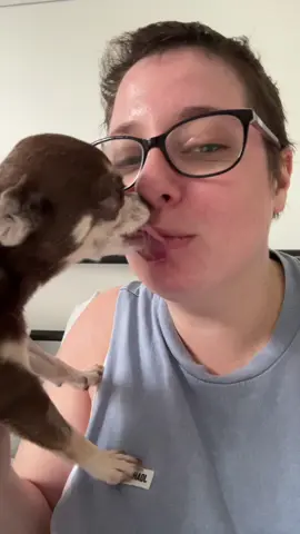 I thought I was filming a video about how she’ll kiss my flatmate but not me and then…! #woohoo #chihuahua #roseappreciationpost