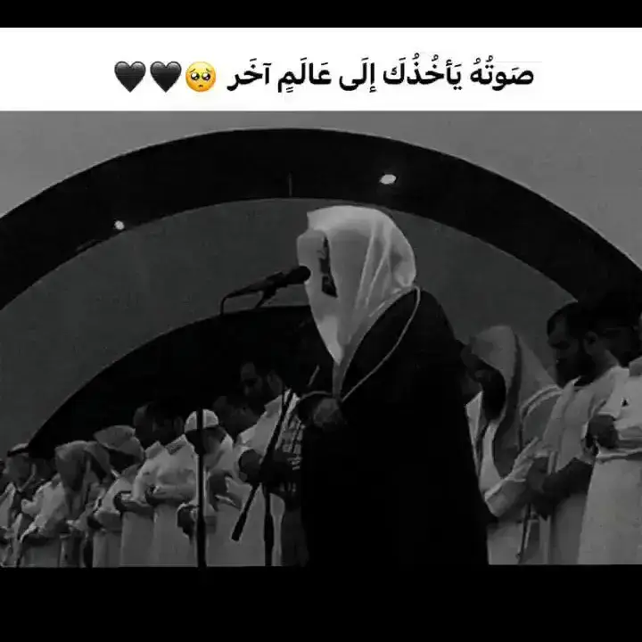 #قرآن_كريم #تلاوات_الآسر🤍 #yasereldosary #اكتب_شي_توجر_عليه #تلاوات_قرآنية 