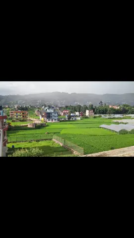 भिडियो खिच्न पारी  जानु रे ,😭😭#foryoupage #socialnews #nepal #kathmandu #onthisday #❣️ #bhaktapur #tiktoknepal #viralvideo #god 