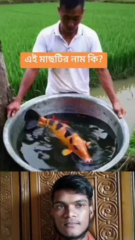 এই মাছটির নাম কি?  #trending #foryoupage #viraltiktok #funny 