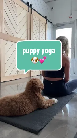 never let them know your next move! HAHA! 🐶💕 @Puppysphere 🤍   #thingstodoinhouston #houstontx #htx #puppyyoga #foryou 