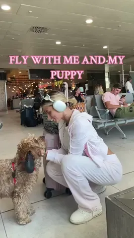She’s the best travel companion 🥹💕 #travel #puppy 