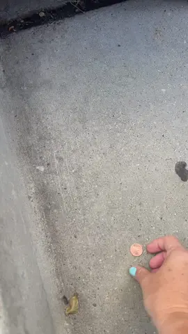 Find a penny… #luck 