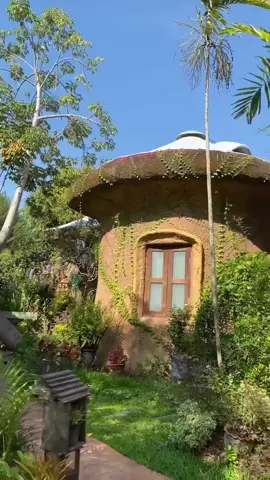 In 2023 I visited Leafy Greens in Chiang Mai, Thailand📍 ✨🍄‍🟫 the mushroom accomodation🍄‍🟫 A place that was build for people to reconnect with nature, breath and meditate. 🧘‍♀️ All houses are made of clay. This would improve your health and connection to earth. Would you stay here?  #organicluxury #clayhouse #naturalbuilding #thailand #thailand🇹🇭 #mushroomhouse #hobbithouse #cottagecore #elf #fairies #nature #EcoFriendly 