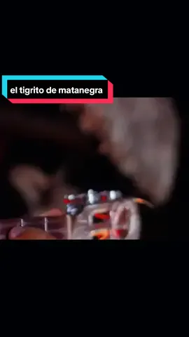 #eltigritodematanegra #llaneras #virall #fypシ゚viral #guerrero27_4 #paratiiiiiiiiiiiiiiiiiiiiiiiiiiiiiii #quieroecharmeunaserveza 