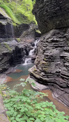 #watkinsglenstatepark is one of my top favorites 🥾🌲🌞#capcuttemplate #watkins #watkinsglen #naturee #water #waterfall #pretty #hike #walking #fypage #fypシ゚viral #fyppp #fypp 