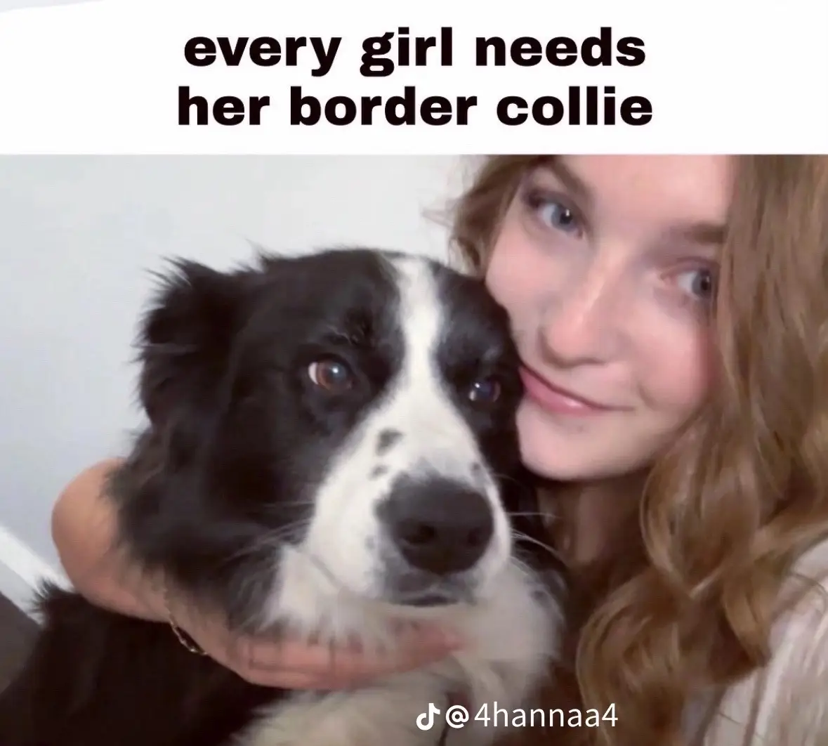 Heres my second child, as well as my youngest. She is for the streets as well as she runs them and slaps yorkies for fun.#fyp #bunny #puppy #bordercollie #dog #dogsoftiktok 