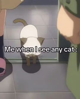 I LOVE MY CAT😤.                          TWITCH- https://www.twitch.tv/animehottakes                            #foryou #bro #cats #anime #Twitch #animenews #animeedit #foryourpages 
