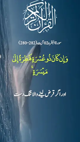Surah Al Baqarah (280-282) Part-101 Urdu Trjuma (Translation) #islam #qurantranslation #foryourpageofficiall 
