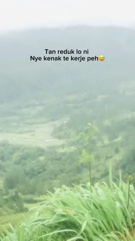 Info”#CapCut #katakata #gayo #katakatagayo #fyppppppppppppppppppppppp #uranggayo 