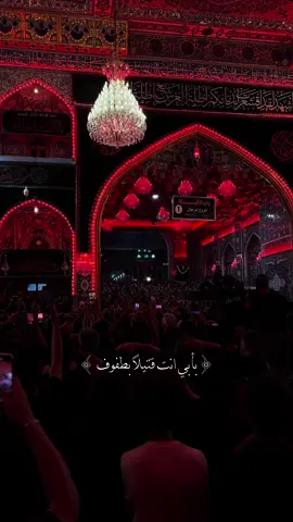 بأبي انت قتيلاً بطفوف #محمد_باقر_الخاقاني #ليث_الحيدري 