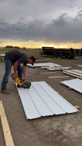 Upper gable metal cut and installed on the @dustylumberco workshop! Those timber awnings sure add a ton of character 👌🏽 The @DEWALT 9” Flexvolt cut off saw is lightweight and versatile and makes pre cutting a stepped stack of gable sheets a breeze 🤠 #CinchCarpentry #QualityOverQuantity #PostFrame #PoleShed #Framing #Carpentry #Carpenter #PostFrameBuildings #FarmBuilding #Builder #Contractor #SubContractor #WorkShop #WoodShop #WoodWorking #WoodWorker #Timber #Awning #Window #MetalCladding #Construction #Equipment #Alberta @ab_buildings